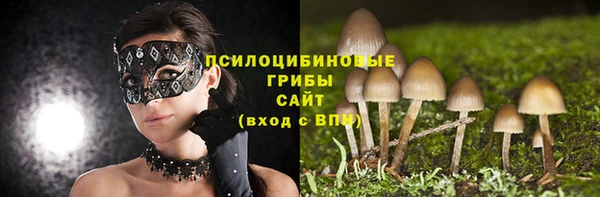 гашик Горняк