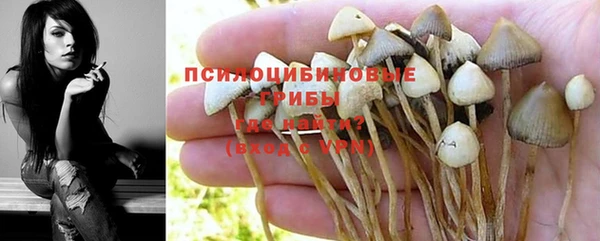 гашик Горняк