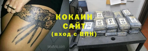 гашик Горняк
