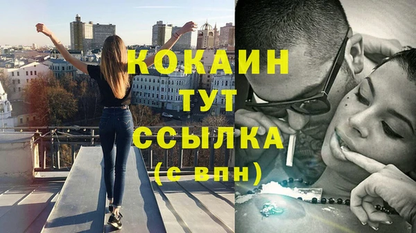 гашик Горняк