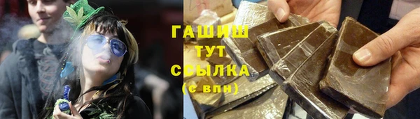 шишки Горно-Алтайск