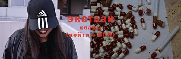 шишки Горно-Алтайск