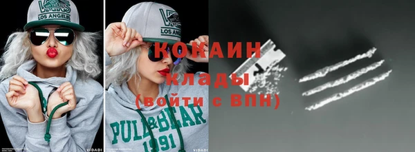 шишки Горно-Алтайск