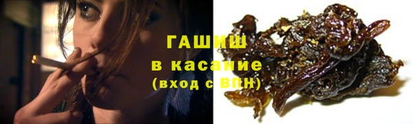 шишки Горно-Алтайск