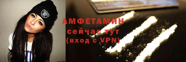 шишки Горно-Алтайск