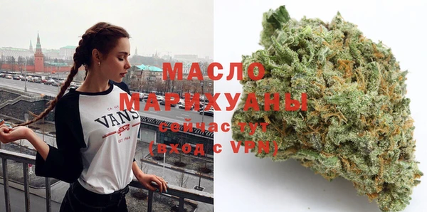 гашик Горняк