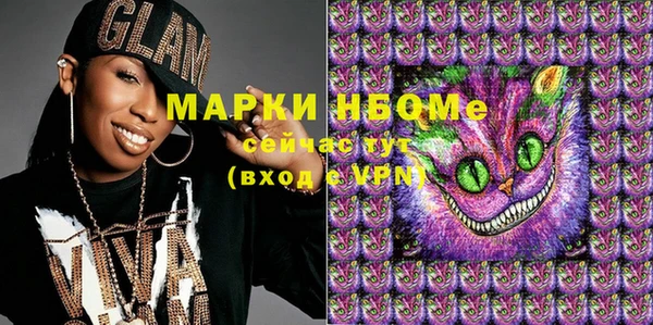 гашик Горняк