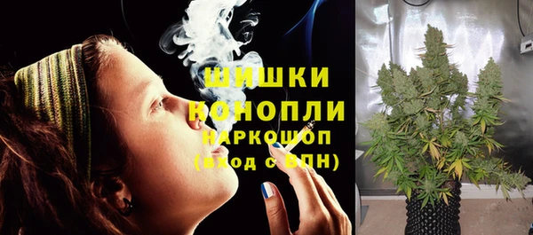 крисы Горнозаводск