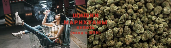 гашик Горняк