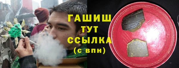 шишки Горно-Алтайск