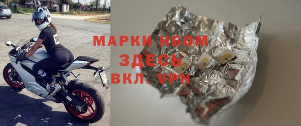шишки Горно-Алтайск