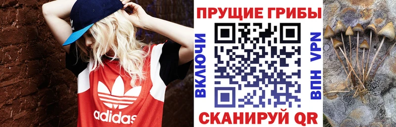 Псилоцибиновые грибы ЛСД дарнет шоп Одинцово